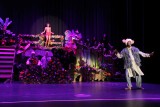 IMG_6538.jpg