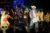 IMG_6733.jpg