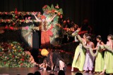 IMG_6813.jpg