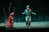 IMG_7786.jpg