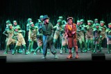 IMG_7791.jpg