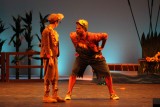 IMG_7955.jpg