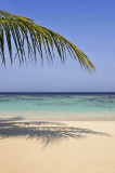 50 Maldives - MRC@2011