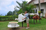 99 Seichelles Mahe Tea Factory MRC@2014.jpg