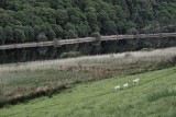 Glendalough Lower Lake