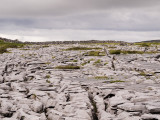 Limestone pavement in the Burren