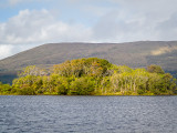 Island in Lough Corrib