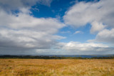The Western Way (Galway)