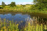 Country Pond