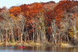 Floating with Fall