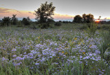 Prairie at Sunset