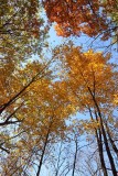 Fall at the Summit