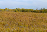 Fall on the Ridge