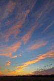 Wispy Sunset