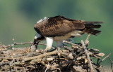D35_2762.jpg