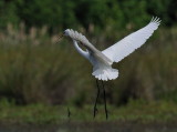 D35_3552.jpg