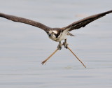 D35_4195 Crop.jpg