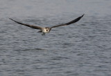 D35_5681.jpg