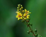D35_6755.jpg