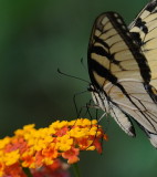 D35_6765.jpg