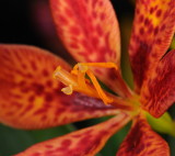 D35_6934.jpg