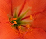 D35_6988.jpg