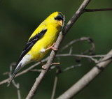 D35_7064.jpg