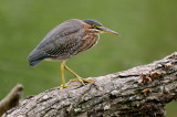D35_7519.jpg