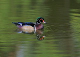 D35_9225.jpg
