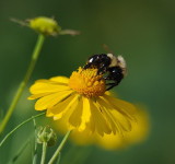 D35_7817.jpg