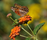 D35_9112.jpg