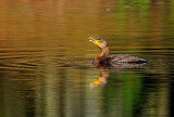 D36_1389.jpg