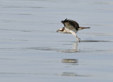 D36_4384.jpg