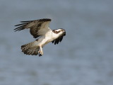 D36_4561.jpg