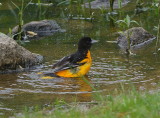 DSC_7348.jpg