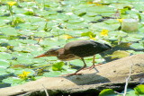 DSC_7755.jpg