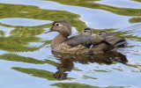 DSC_7813.jpg