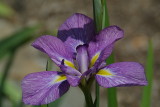 DSC_7792.jpg