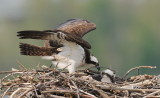 D37_4803.jpg
