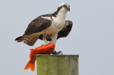 D37_7654.jpg