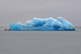 D37_8222.JPG