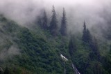 D37_8229.JPG