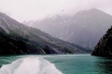 D37_8297.JPG