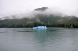 D37_8481.JPG