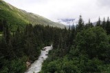 D37_8593.JPG
