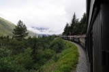 D37_8596.JPG