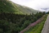 D37_8597.JPG