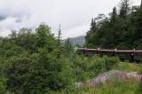 D37_8599.JPG