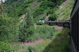 D37_8609.JPG