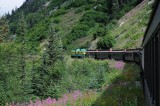 D37_8610.JPG